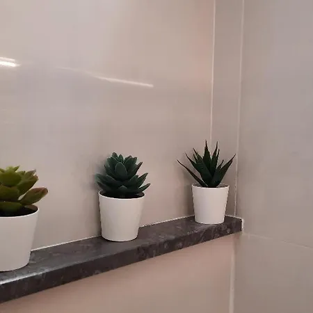 Casa vacanze Celsus 84