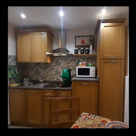 Celsus 84 * פלרמו